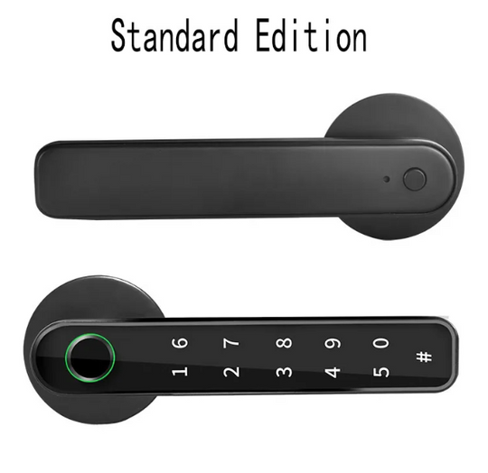 Graffiti Smart Fingerprint & Password Door Lock