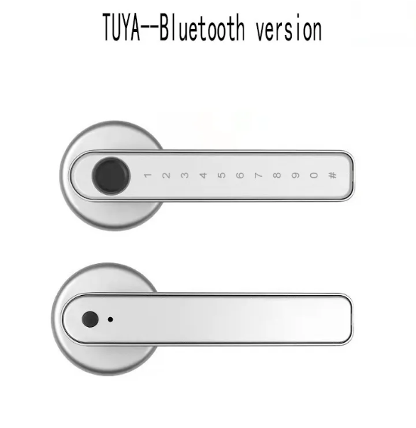 Graffiti Smart Fingerprint & Password Door Lock
