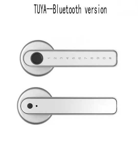 Graffiti Smart Fingerprint & Password Door Lock