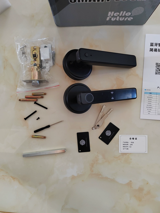 Graffiti Smart Fingerprint & Password Door Lock