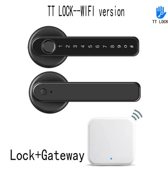 Graffiti Smart Fingerprint & Password Door Lock