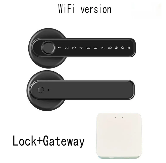 Graffiti Smart Fingerprint & Password Door Lock
