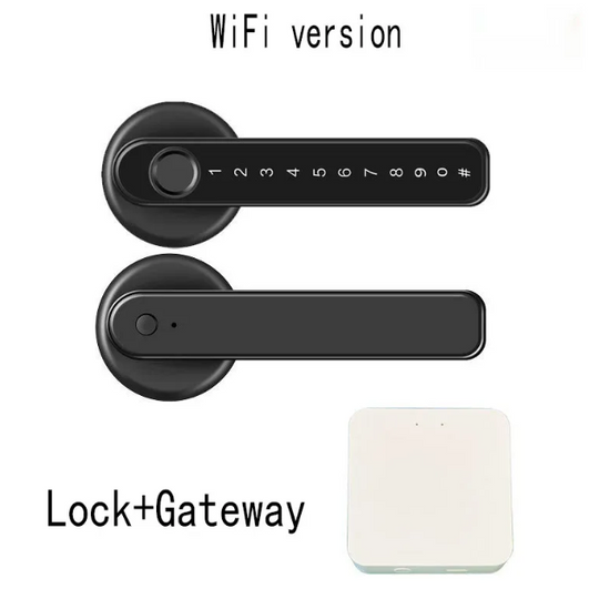 Graffiti Smart Fingerprint & Password Door Lock