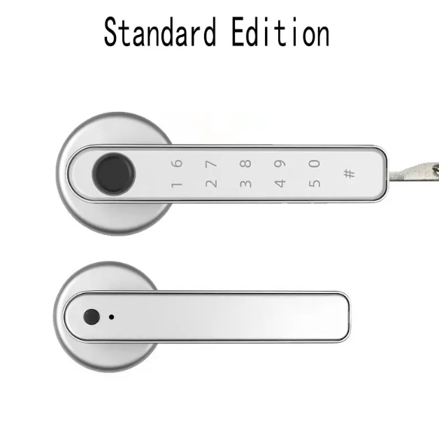 Graffiti Smart Fingerprint & Password Door Lock
