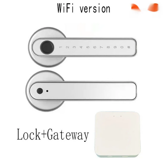 Graffiti Smart Fingerprint & Password Door Lock